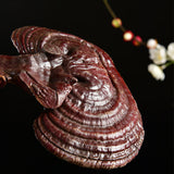 Load image into Gallery viewer, Northeast specialty red Ganoderma gift box wild Ganoderma purple Ganoderma